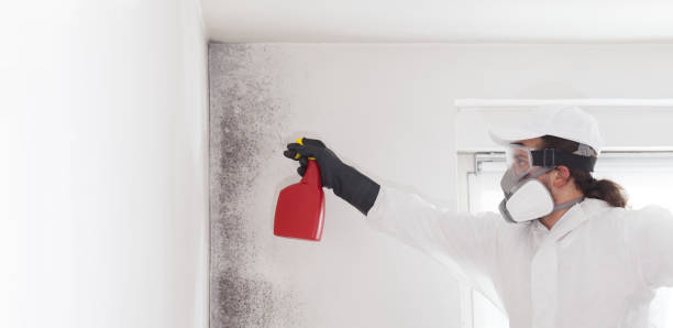 Best Crawl Space Mold Removal  in Clewiston, FL