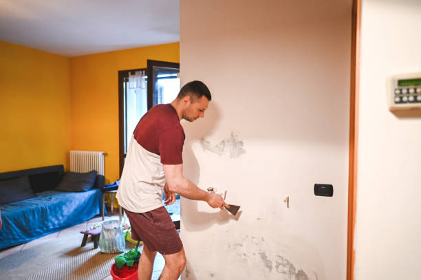 Best Mold Damage Repair  in Clewiston, FL